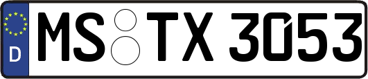MS-TX3053