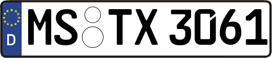 MS-TX3061