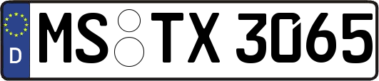 MS-TX3065