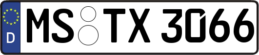 MS-TX3066