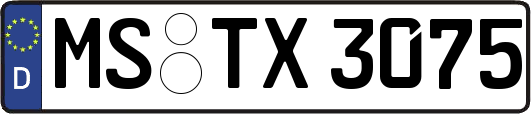 MS-TX3075
