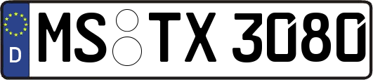 MS-TX3080