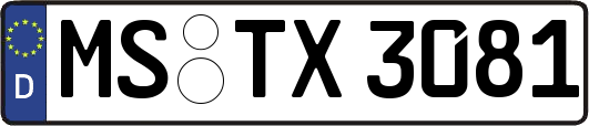 MS-TX3081