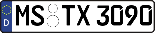 MS-TX3090