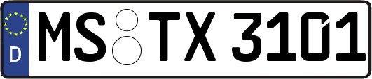 MS-TX3101
