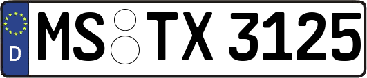 MS-TX3125