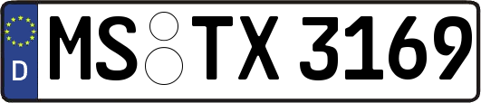 MS-TX3169