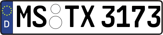 MS-TX3173