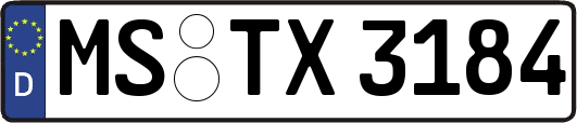 MS-TX3184