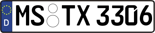 MS-TX3306