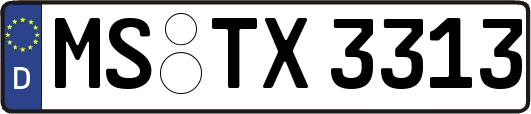 MS-TX3313