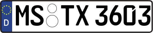 MS-TX3603