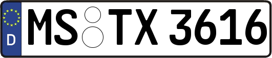 MS-TX3616