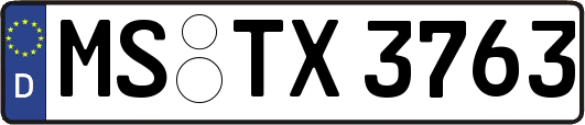 MS-TX3763