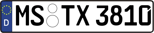 MS-TX3810