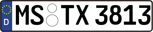 MS-TX3813