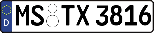 MS-TX3816