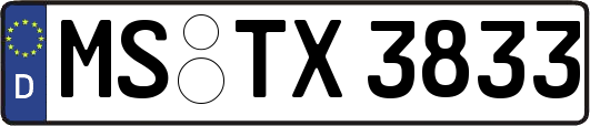 MS-TX3833