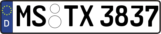 MS-TX3837