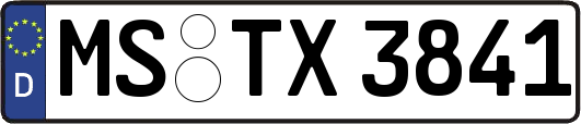 MS-TX3841