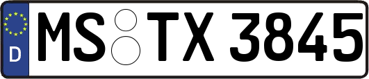 MS-TX3845