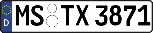 MS-TX3871