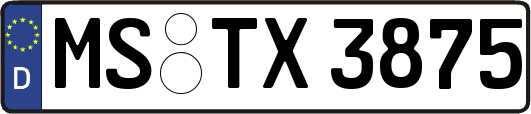 MS-TX3875