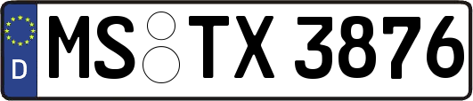 MS-TX3876