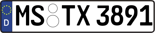 MS-TX3891