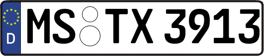 MS-TX3913
