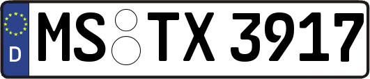 MS-TX3917