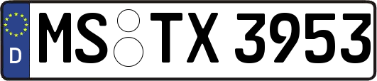 MS-TX3953