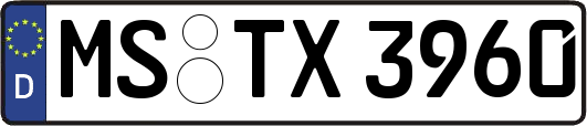 MS-TX3960