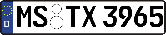 MS-TX3965