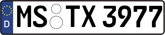 MS-TX3977