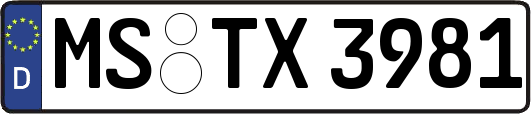 MS-TX3981