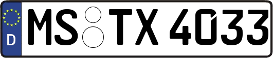 MS-TX4033