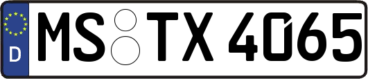 MS-TX4065
