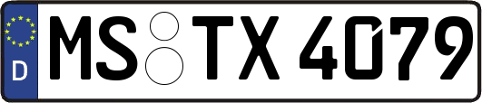 MS-TX4079