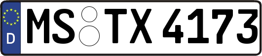 MS-TX4173