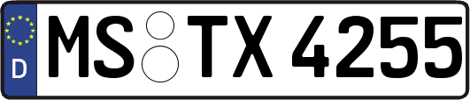 MS-TX4255