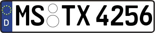 MS-TX4256