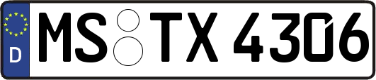 MS-TX4306