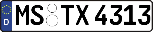 MS-TX4313