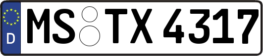 MS-TX4317