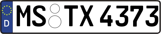 MS-TX4373