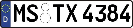 MS-TX4384