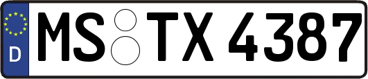 MS-TX4387