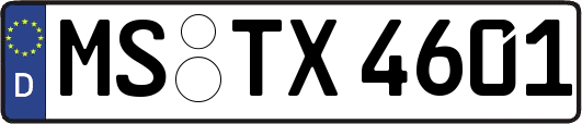 MS-TX4601