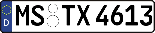 MS-TX4613